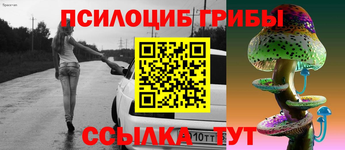 Псилоцибиновые грибы Psilocybine cubensis  Вход с VPN  Галлюциногенные грибы мухоморы  Нижний Новгород 