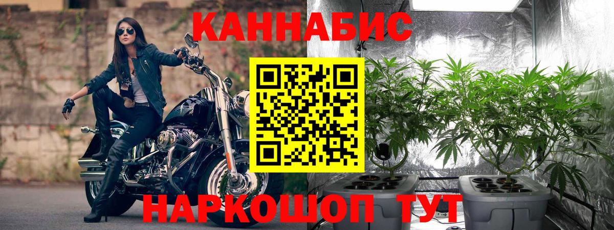 Нижний Новгород  Конопля планчик  МАРИХУАНА VHQ  Канабис OG Kush  Вход с VPN 